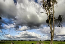 胜败之间！欧预赛激战继续