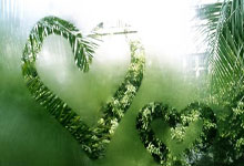 俄罗斯队在与德国队的比赛中取得胜利，领先小组