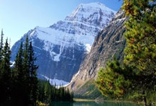 美国前锋转会谣言不实，将继续效力现俱乐部